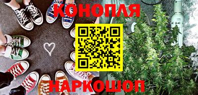 сатива Бузулук