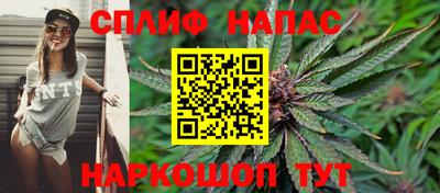 дживик Будённовск
