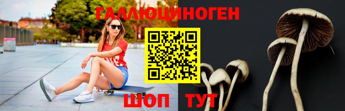 дарнет шоп  Галлюциногенные грибы мухоморы  Красноярск  Вход с VPN  Псилоцибиновые грибы Psilocybine cubensis 