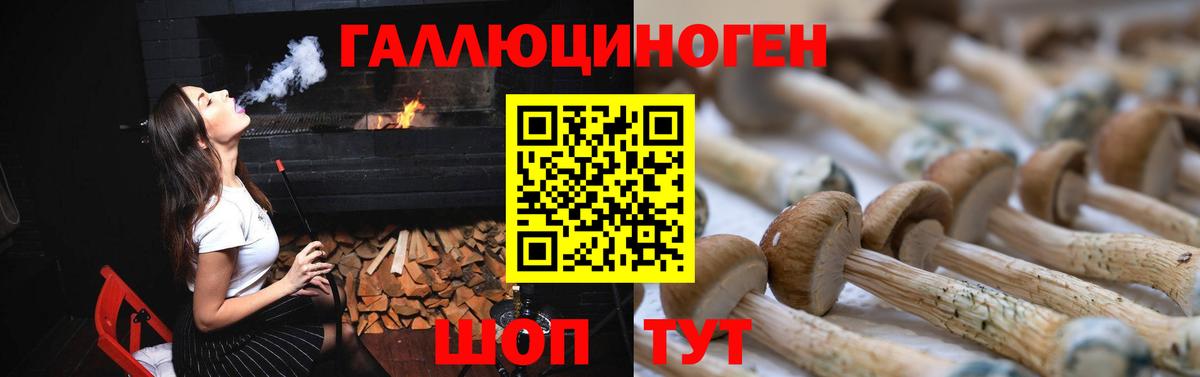 Галлюциногенные грибы прущие грибы Красноярск